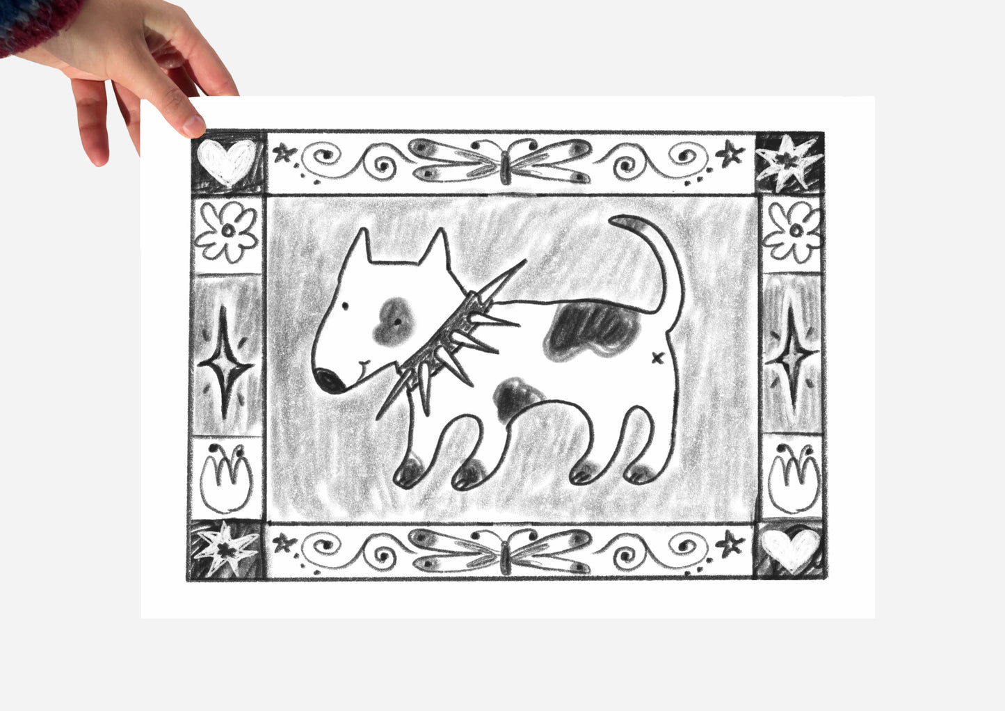 Spiky collar dog with a lovely border