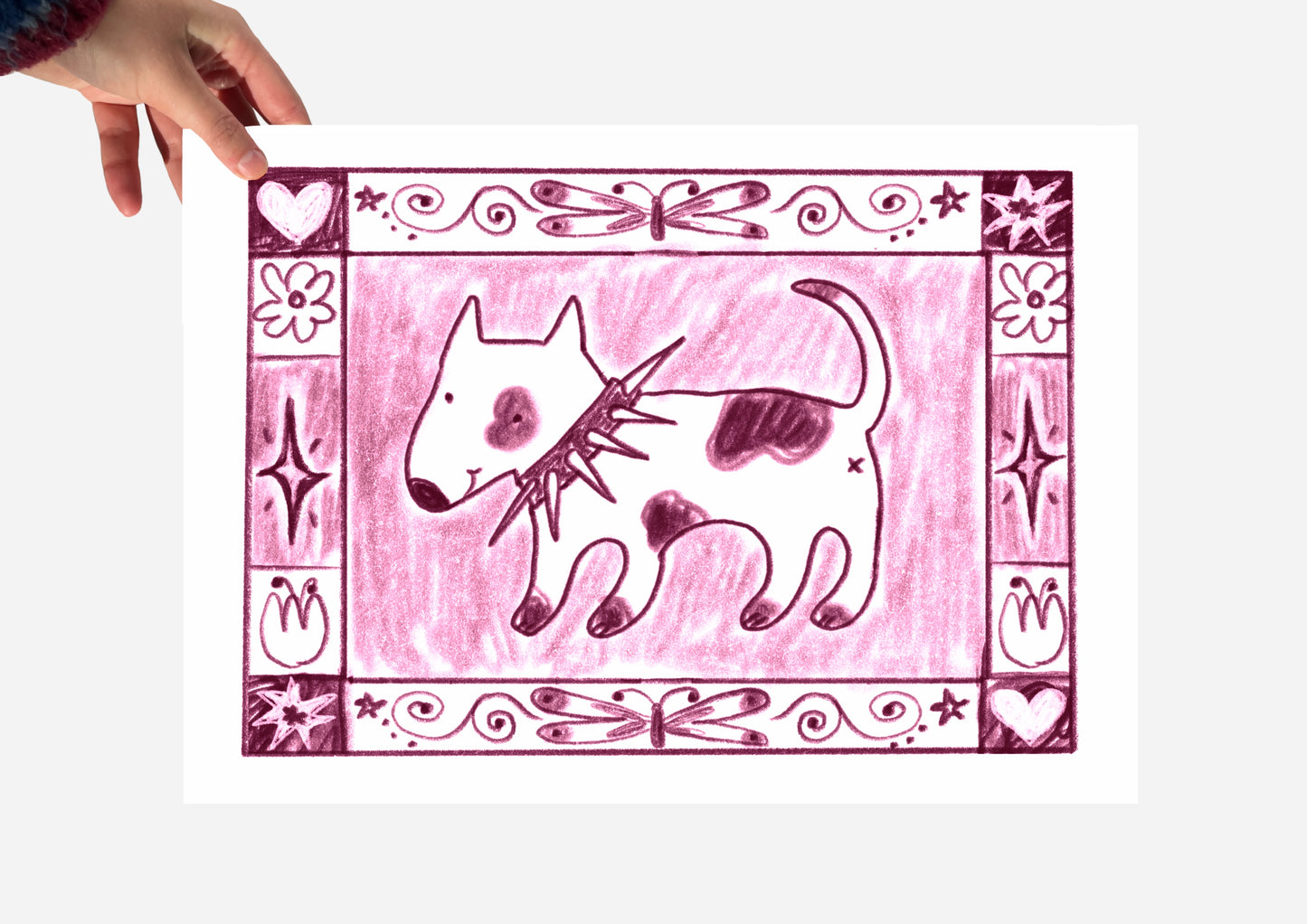Spiky collar dog with a lovely border