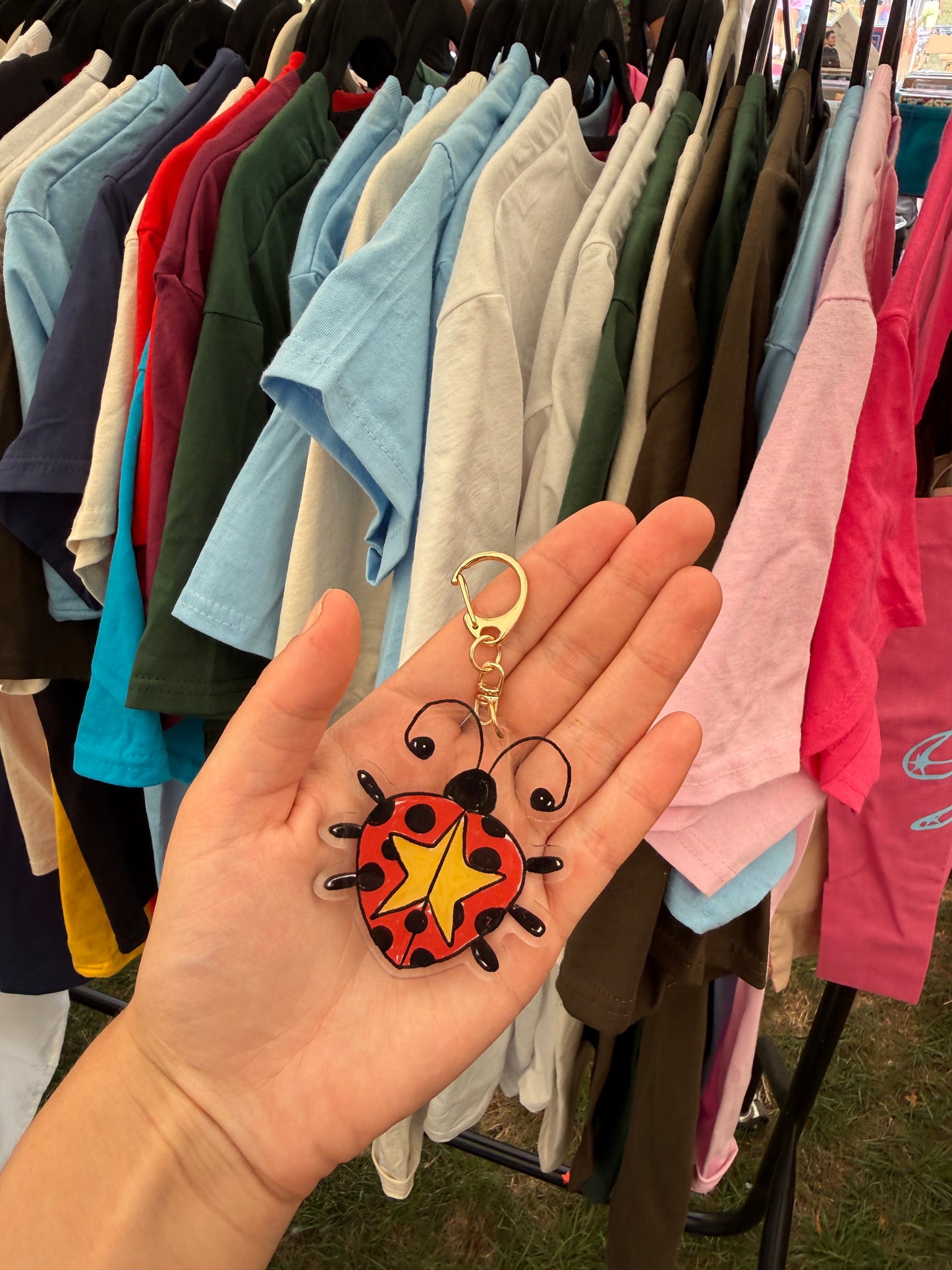 Star Lady bird keyring